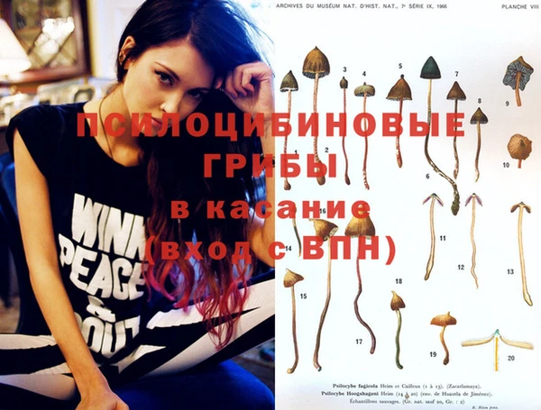 стафф Алексеевка
